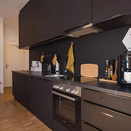 Tamliving Center 2 Schlafzimmer Comfort Air Conditioning Wifi Xbox Appartamento Graz